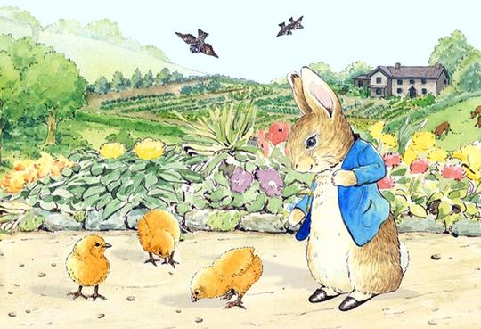 Peter Rabbit Chicks Peter Rabbit and The Spring Chicks 20 Piece Puzzle – Little Goose Toys